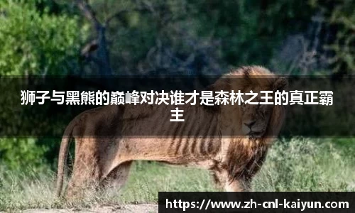 开云kaiyun官方网站